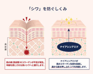 ナイアシンアミド　効果