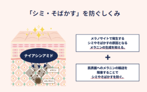 ナイアシンアミド　効果
