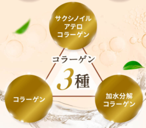 3種のコラーゲン