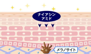 アンリンクル　美白ケア